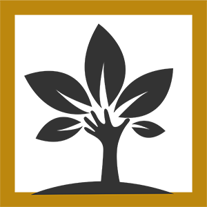 Ecological wood panel made in Italy	 Premline: panels made in Italy	